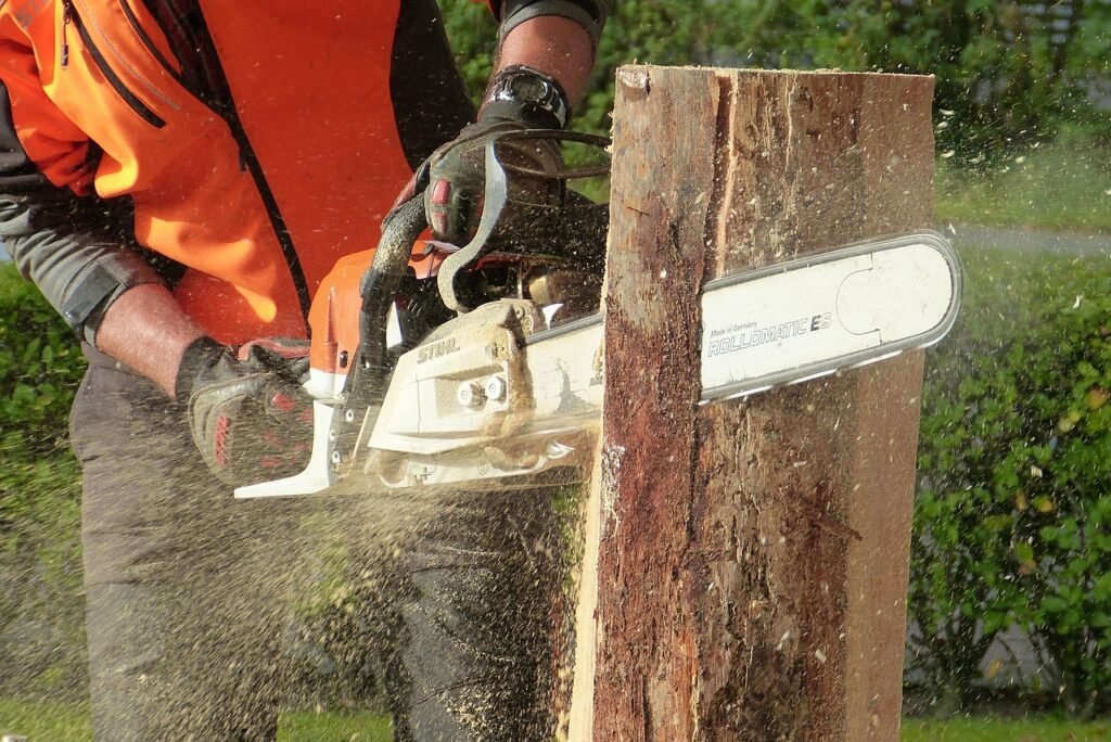 wood, chainsaw, nature