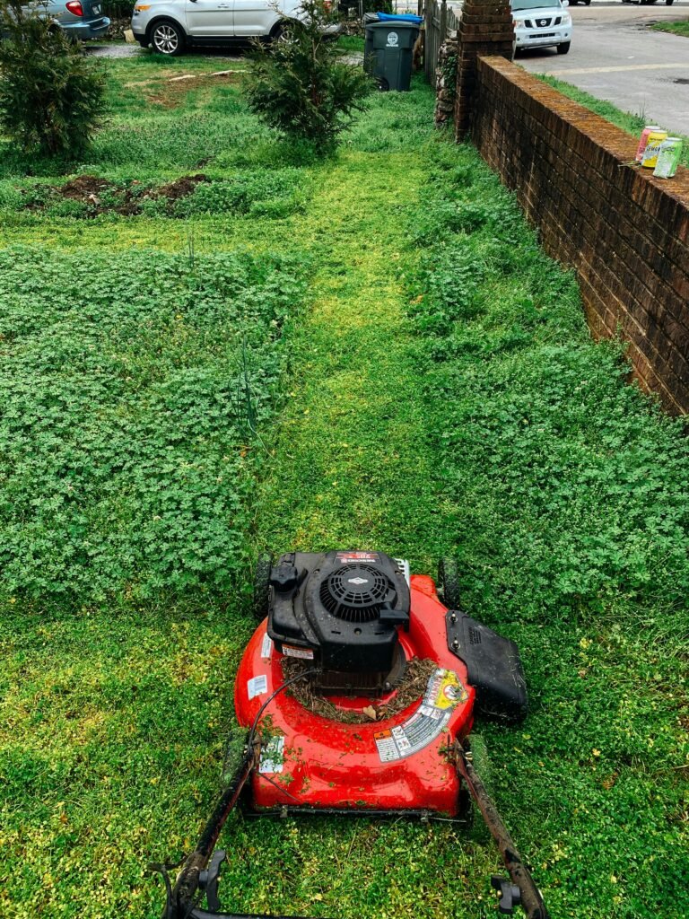 Red Lawn Mower on Grass