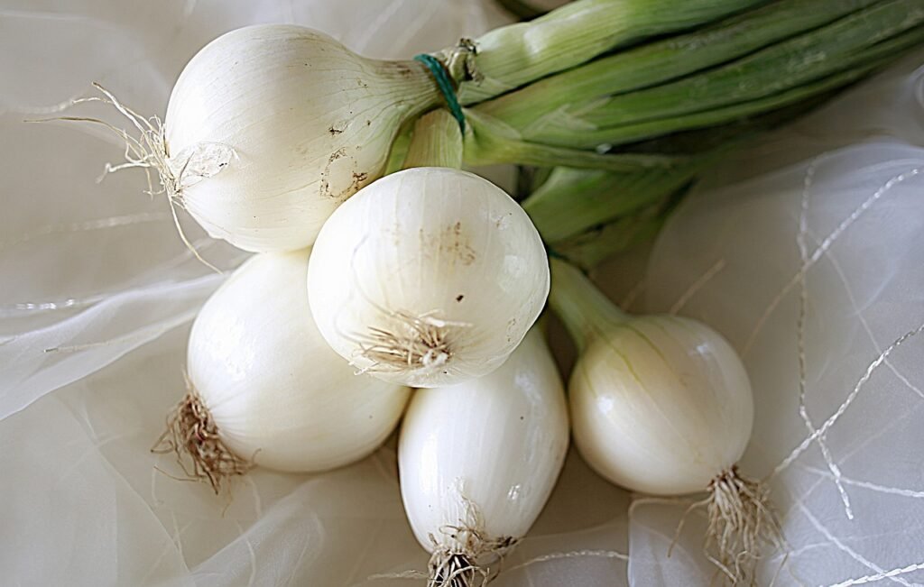 onion, vegetable, power, white, food, onion, onion, onion, onion, onion