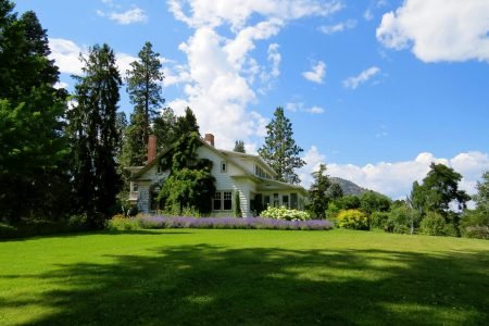 pexels-photo-226407-226407 Idyllic countryside house surrounded by lavender and greenery under a bright blue sky.